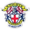Avatar hráče